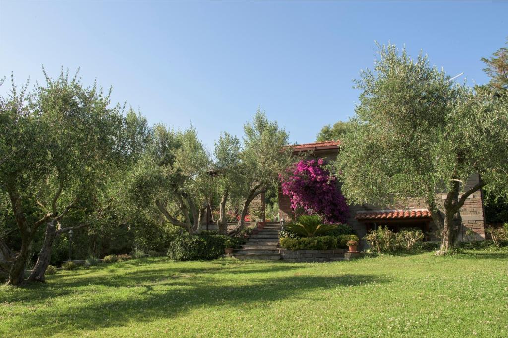un jardín con árboles y escaleras frente a una casa en Gli Ulivi, en Trevignano Romano