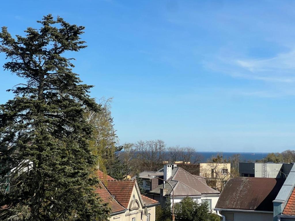 a view of a city with a large tree at Gdynia Bulwar in Gdynia