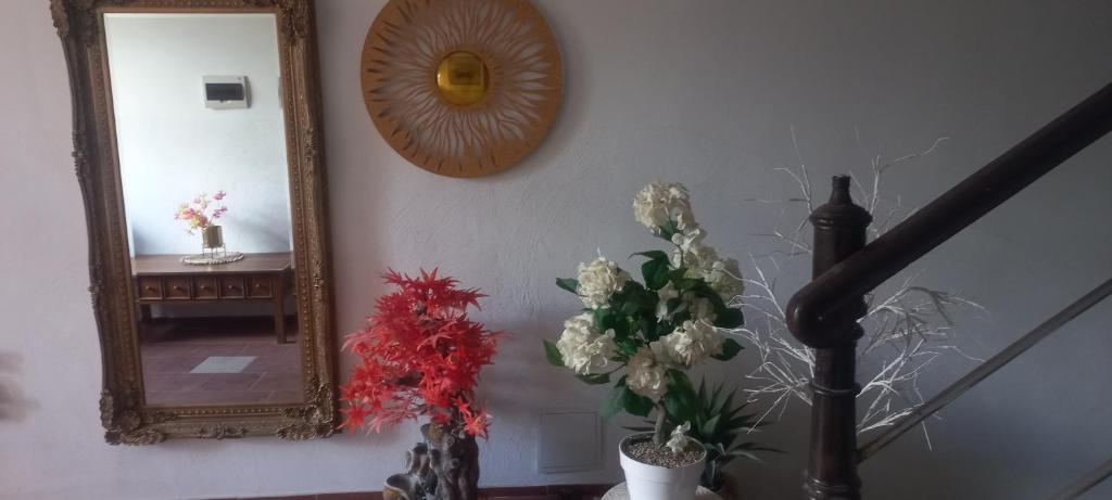 Butikowe pokoje - Apartamento De Un Dormitorio
