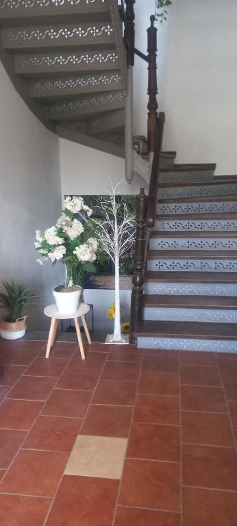 Butikowe pokoje - Apartamento De Un Dormitorio