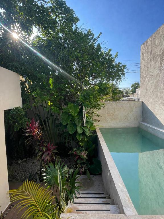 a small swimming pool in a garden with plants at Private House with Pool, 2 Bedrooms & Parking in Valladolid