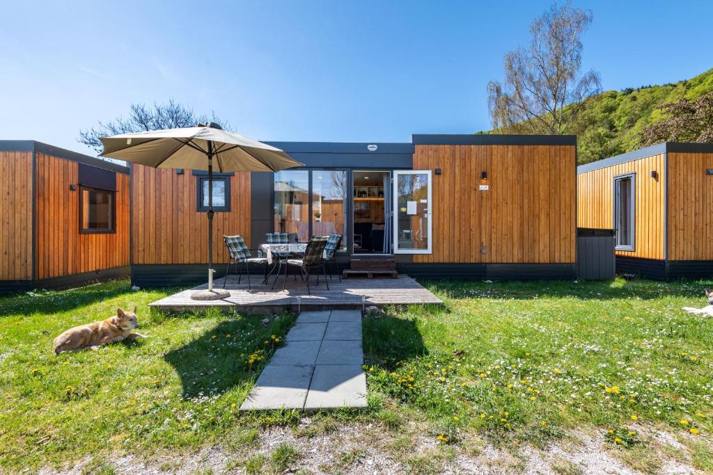 a house with a dog laying in the grass at Haus Lotte und Frieda in Riedenburg