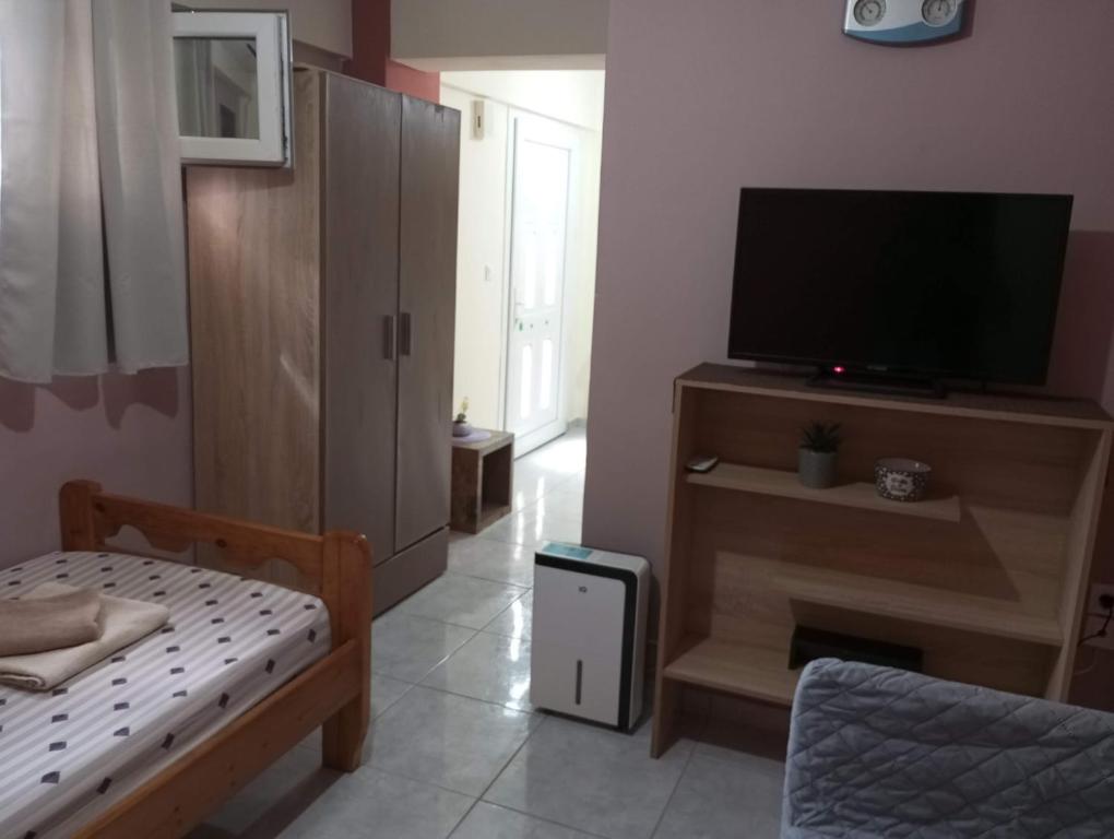 Cozy Single Studio Apartment - 22