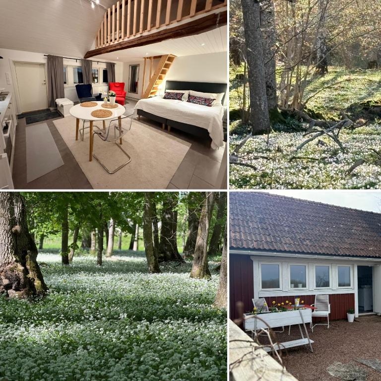 a collage of pictures of a house with flowers at Kinnekulle bed & breakfast in Källby