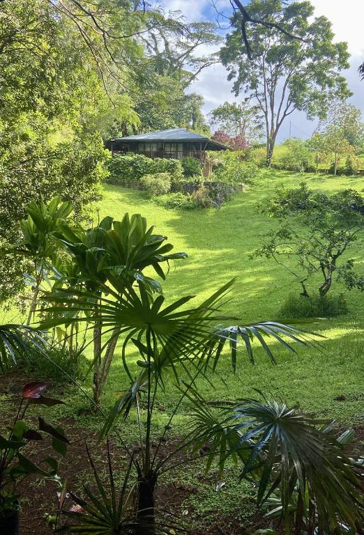 My Mountain Home - La Galerie - photo 6 - Tahiti, Polynésie