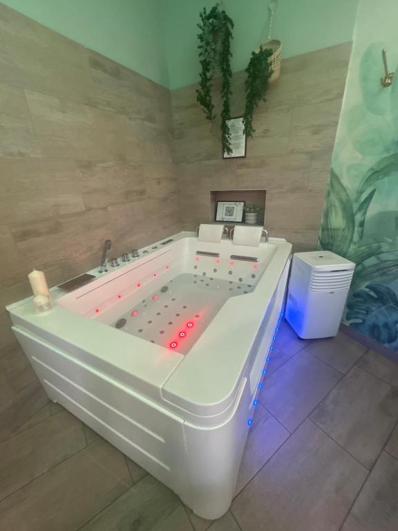 La Jungle Secrète Spa et cinéma en plein air – photo 10