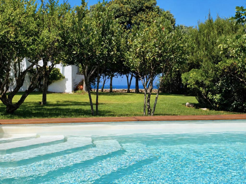 a swimming pool with trees and the ocean in the background at Porto Cervo Sea and Nature Villa in Porto Cervo