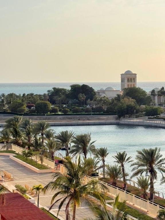 a view of a large swimming pool with palm trees at شاطئ المرجان in King Abdullah Economic City