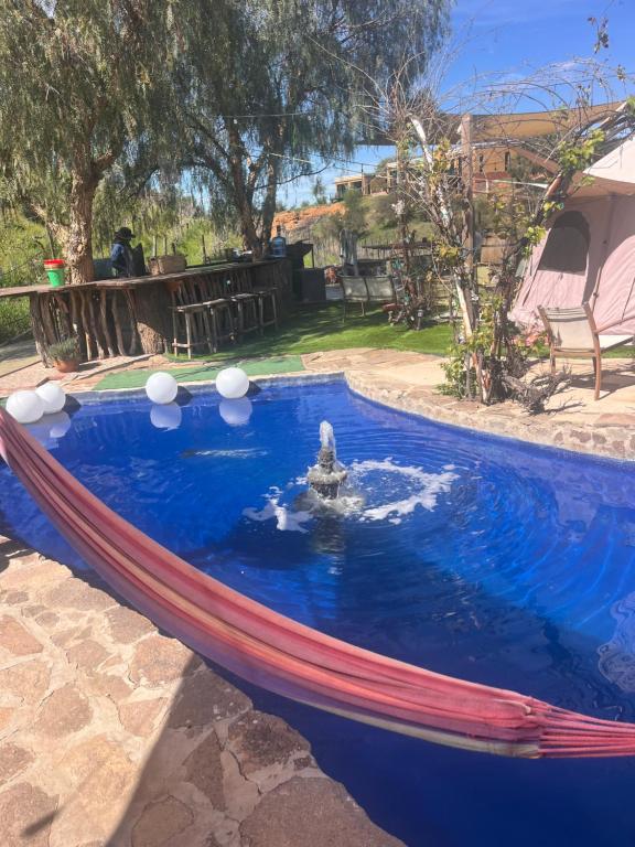 a dog in a hammock in a swimming pool at Lago Amor del Valle Glamping Grande in San Antonio de las Minas