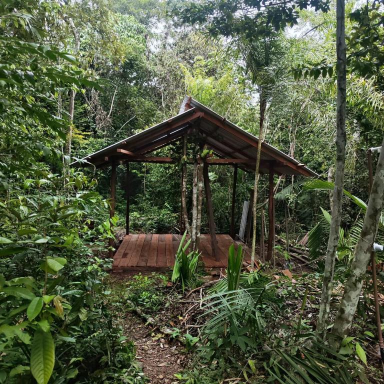 a wooden shelter in the middle of a forest at Camping AlterArte Ecovila in Santarém