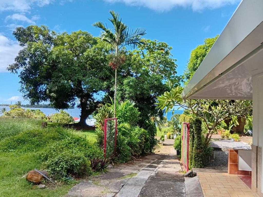 Heiva - Fare Orotia - photo 6 - Raiatea, Polynésie