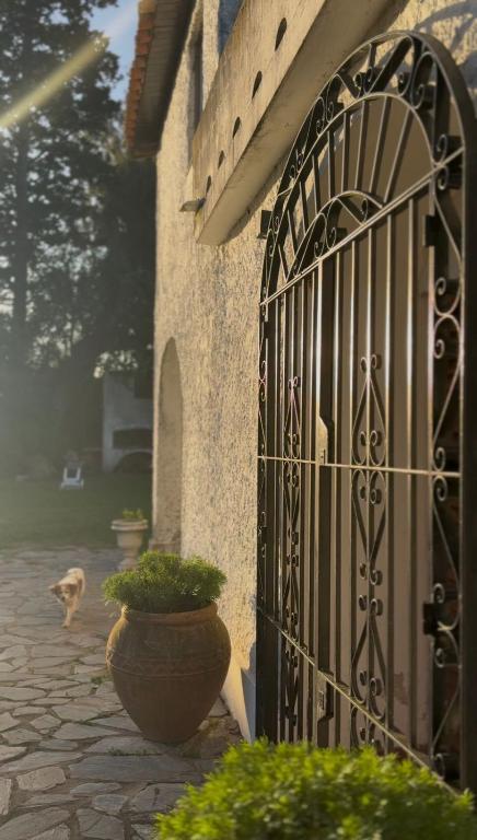 a door to a house with a dog walking past it at Casa de Barro in Junín