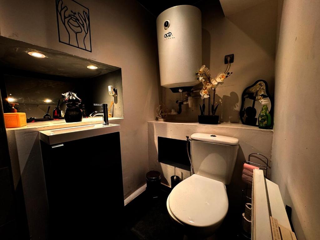 a bathroom with a white toilet and a sink at Suite XOXO in Souppes-sur-Loing