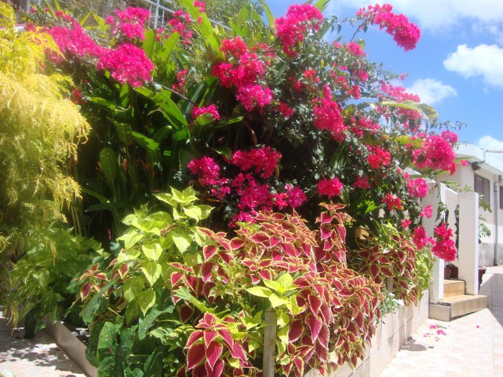 Gallery image of Residence Madelia in Port-Louis