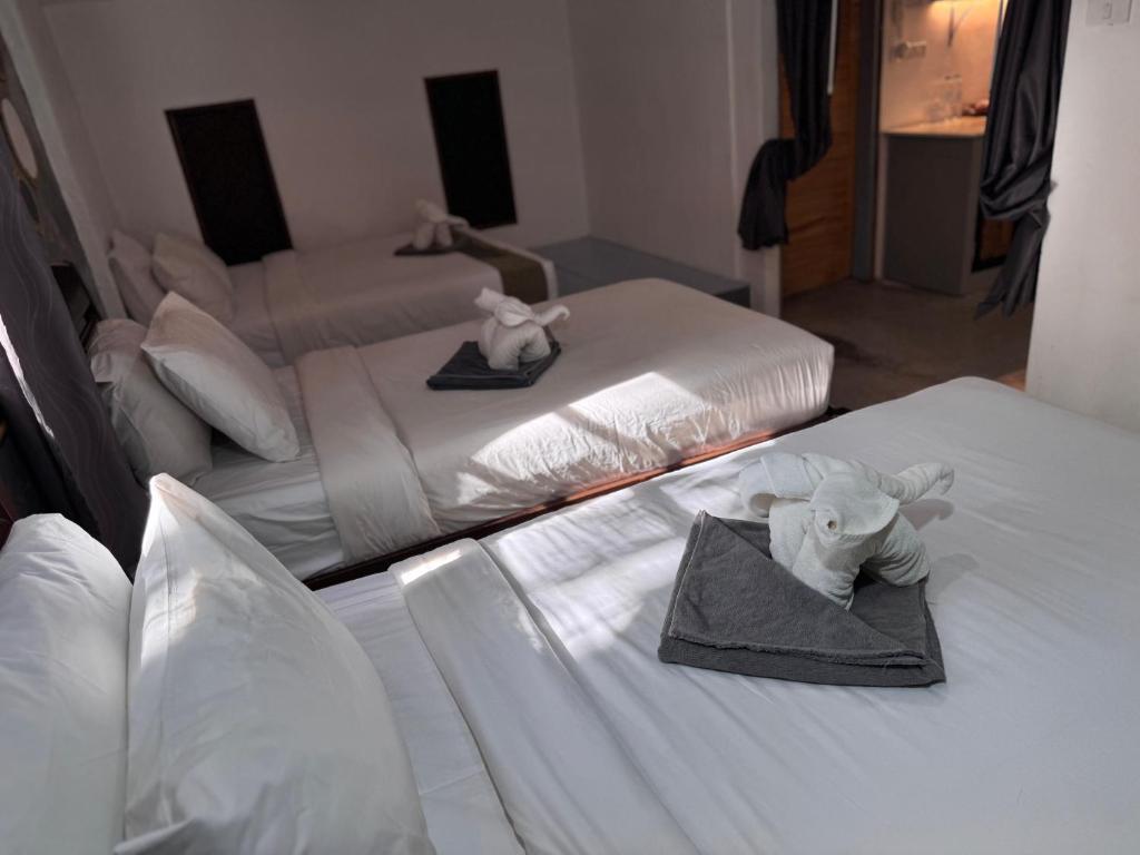 Pagi Pagi villas photo