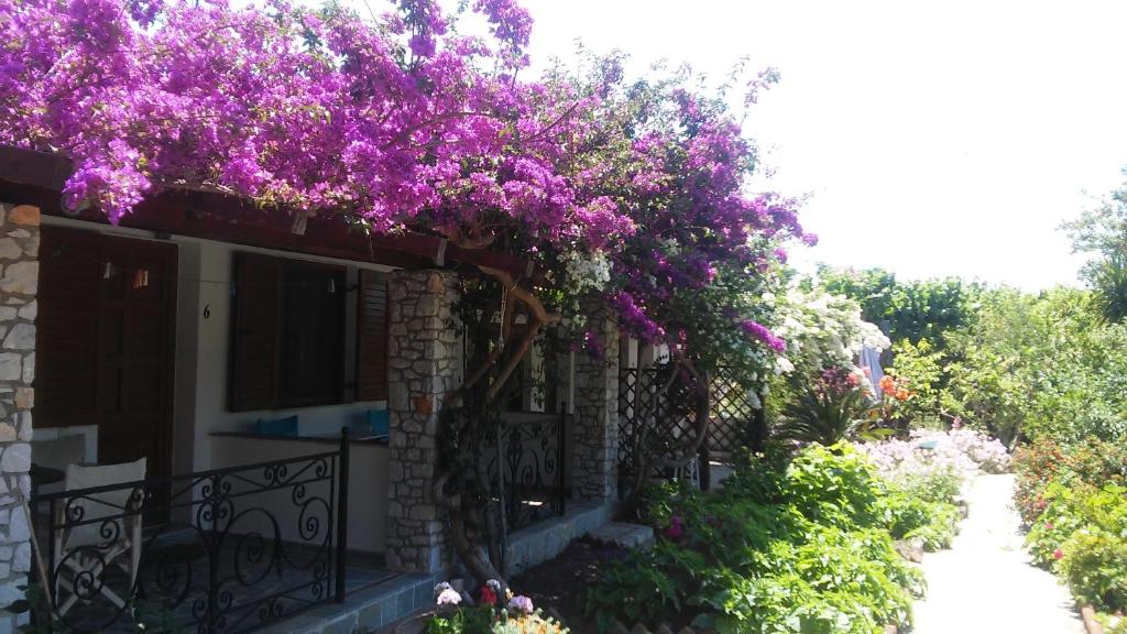 a house with purple flowers on a balcony at Maniatis Garden in Achladies