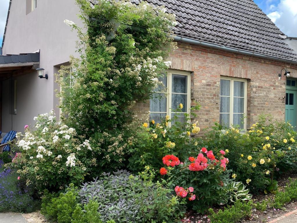a garden of flowers in front of a house at Cottage an der Müritz - großer Garten mit Pool - Außenküche und Grill - Kanus und Fahrräder kostenfrei in Buchholz
