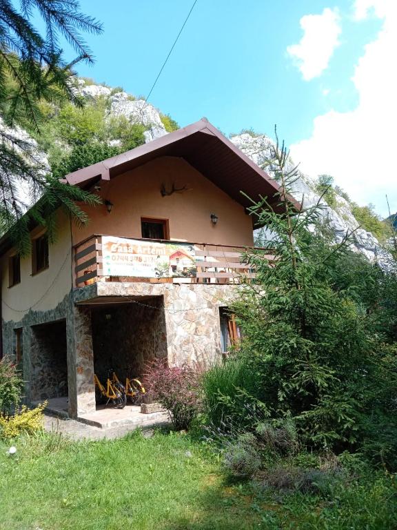 a house on a hillside with a building at CASA ARTEMI in Remeţi