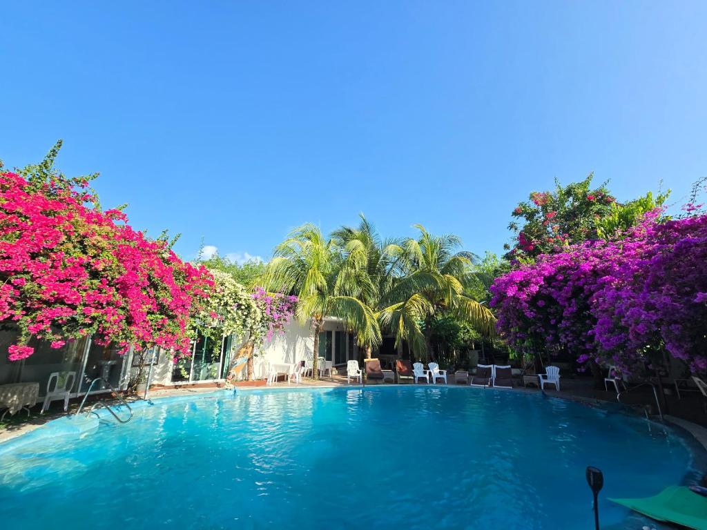 a swimming pool with pink flowers and palm trees at Oasis2 Phuket Airport Glamping in Phuket