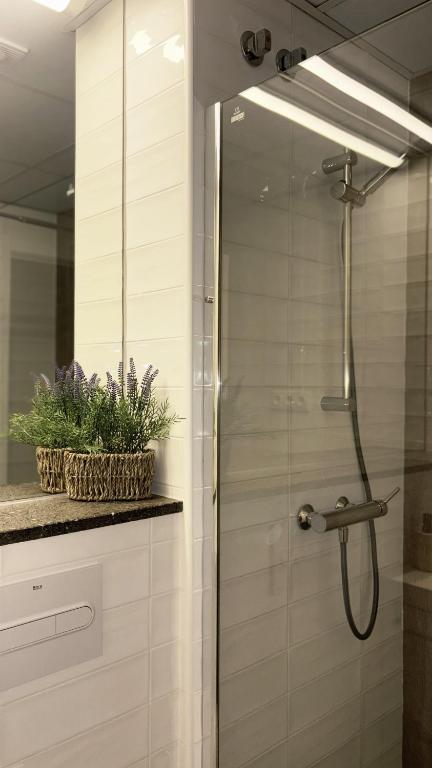 GLOBAL Apartments & Rooms - 