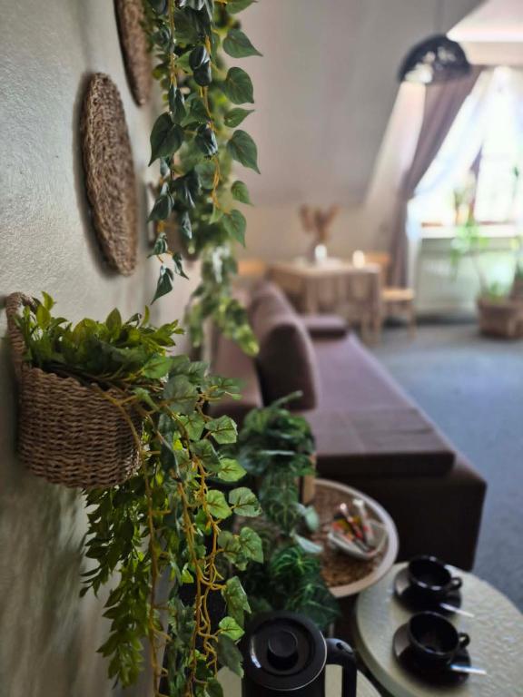 a living room with a couch and a table with plants at Pokój 102 Boho in Nasutów