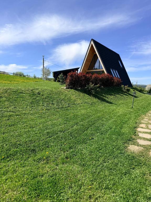 a house on top of a grassy hill at Vatra Barsei in Tohanu Nou