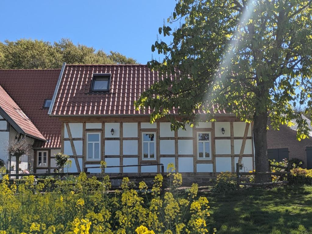 a house with a red roof and a tree at Ferienhaus am Dillbach in Hagen