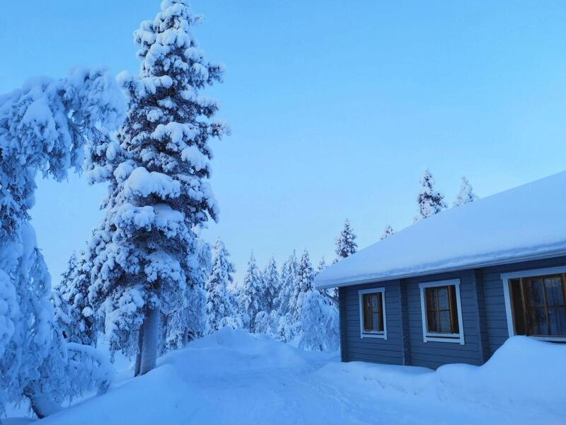 ein schneebedecktes Haus neben einem Baum in der Unterkunft Metsäkoti in Saariselkä