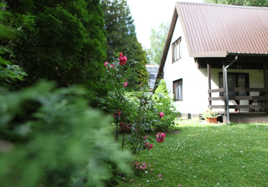 a house with a red roof and roses in the yard at Domek Mazury u Basi in Jerutki