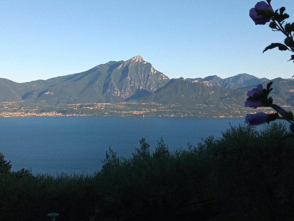 a view of a large body of water with a mountain at Punta sul Garda in Torri del Benaco