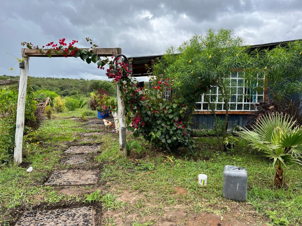 a garden with a bunch of flowers and a fence at D's FarmStay in Kajiado