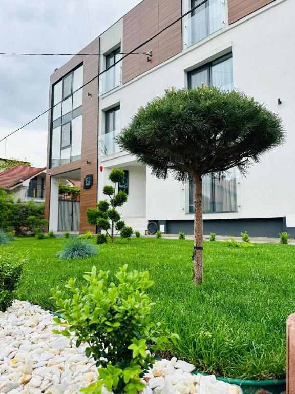 a tree in the grass in front of a building at Hotel B4 in Oradea