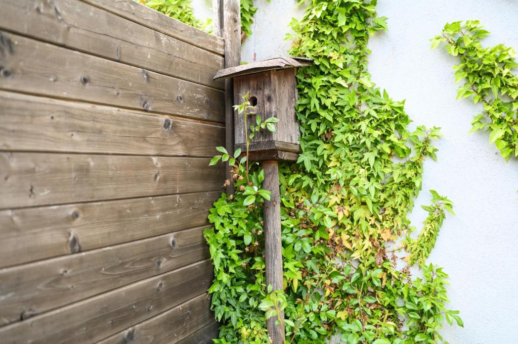 Gîte La Petite Maison Des Vacances – photo 20