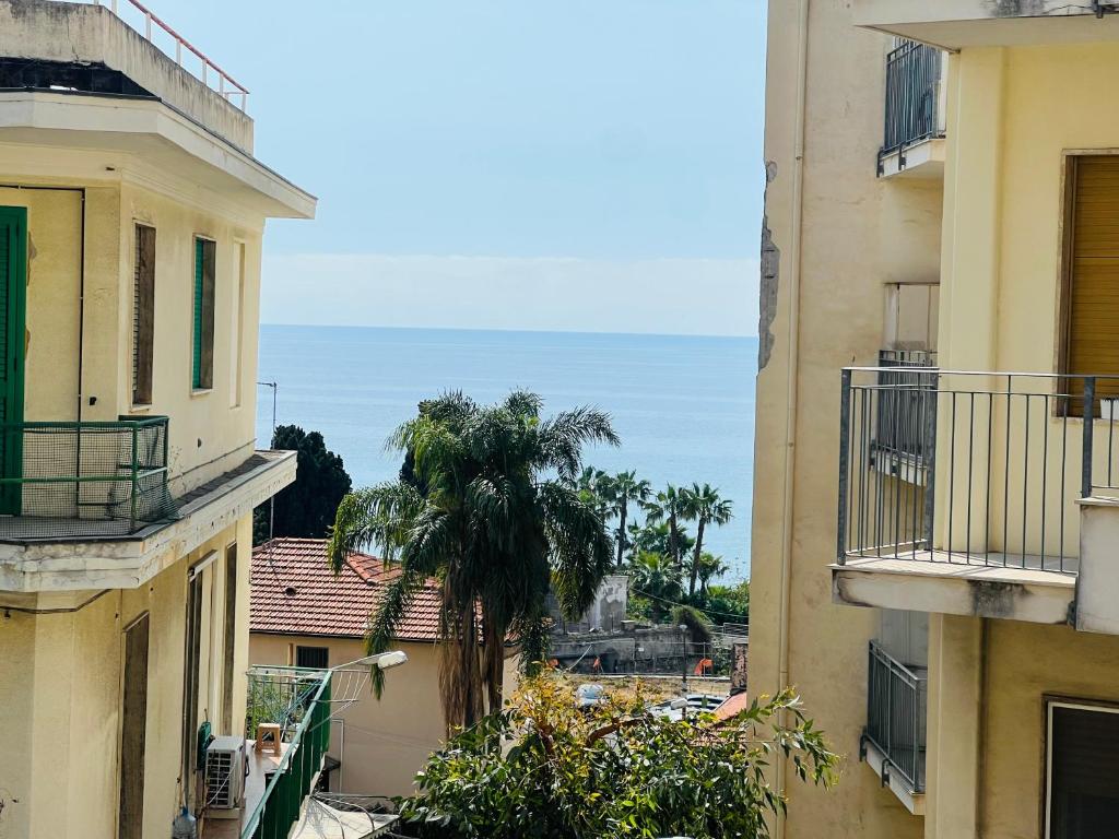 an alley between two buildings with a palm tree at Suite Semeria 44 - Sanremo in Sanremo