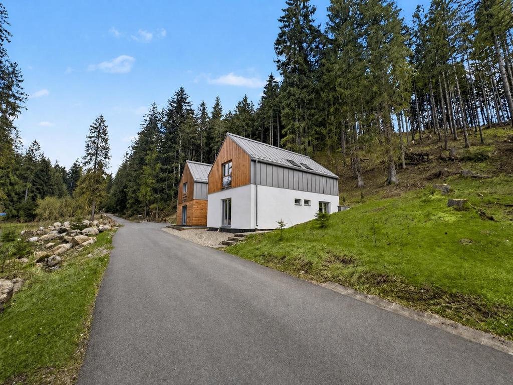 a barn on a hill next to a road at Chalet La Martina in Zuberec