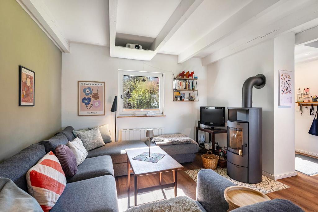 a living room with a couch and a fireplace at Kleines Schleihaus Lorenz in Boren