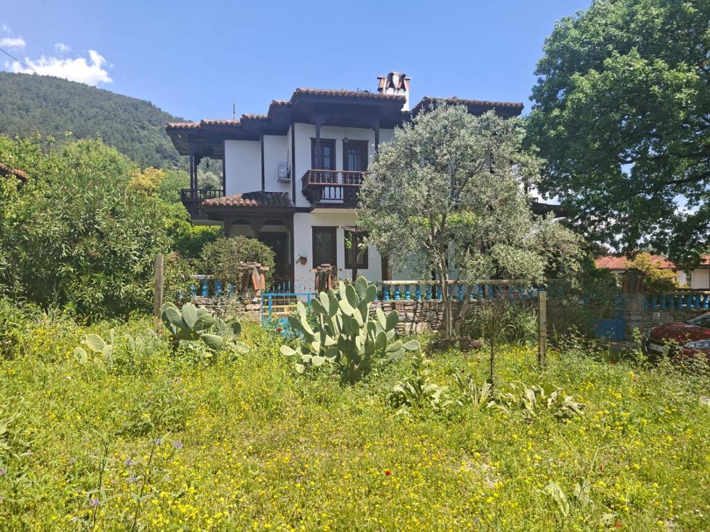 a house in the middle of a field of grass at Villa İkiz in Ula
