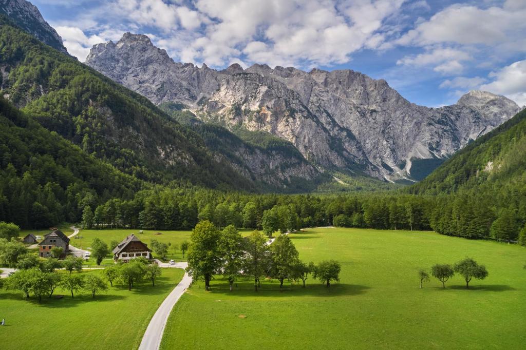 a green field with a house and mountains in the background at Domačija Plesnik in Solčava
