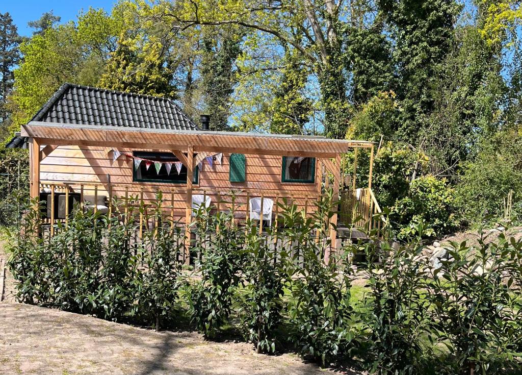 a small wooden house in the middle of a garden at PipowagenSiëester in Ommen