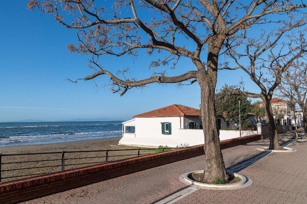 a tree on a sidewalk next to the beach at Villa in Spiaggia in Follonica