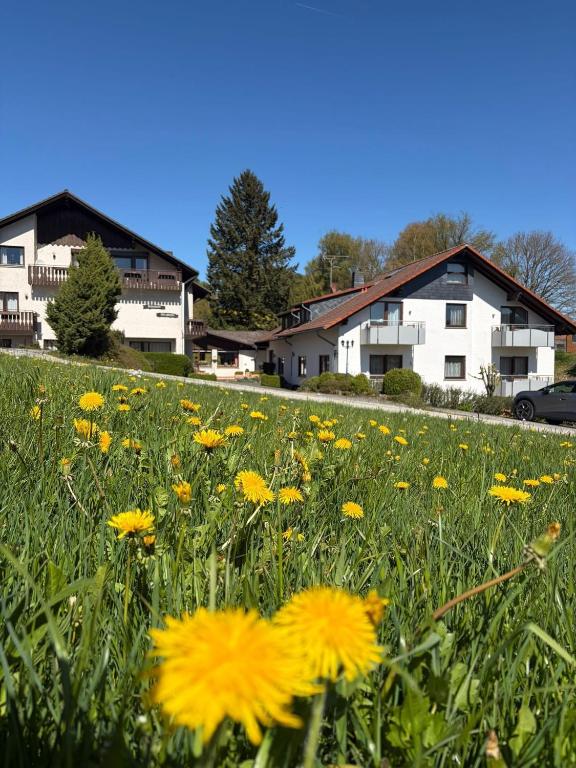 a field of yellow flowers in front of a house at Rhönhotel Alte Mühle in Weyhers