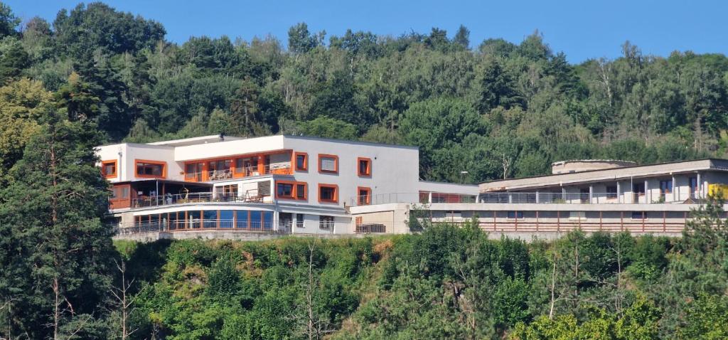 a large white building on top of a hill at Hotel HAVLOV in Žďárec
