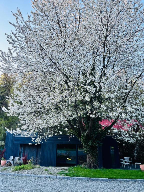 a flowering tree in front of a blue building at Touareg House in Szczyrk