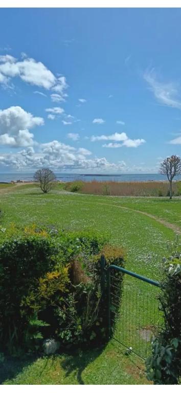 a fence in the middle of a field with flowers at Studio les pieds dans l eau in Sarzeau