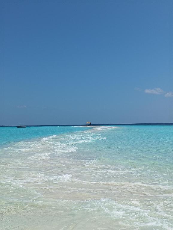 Ocean Bounty - View 39