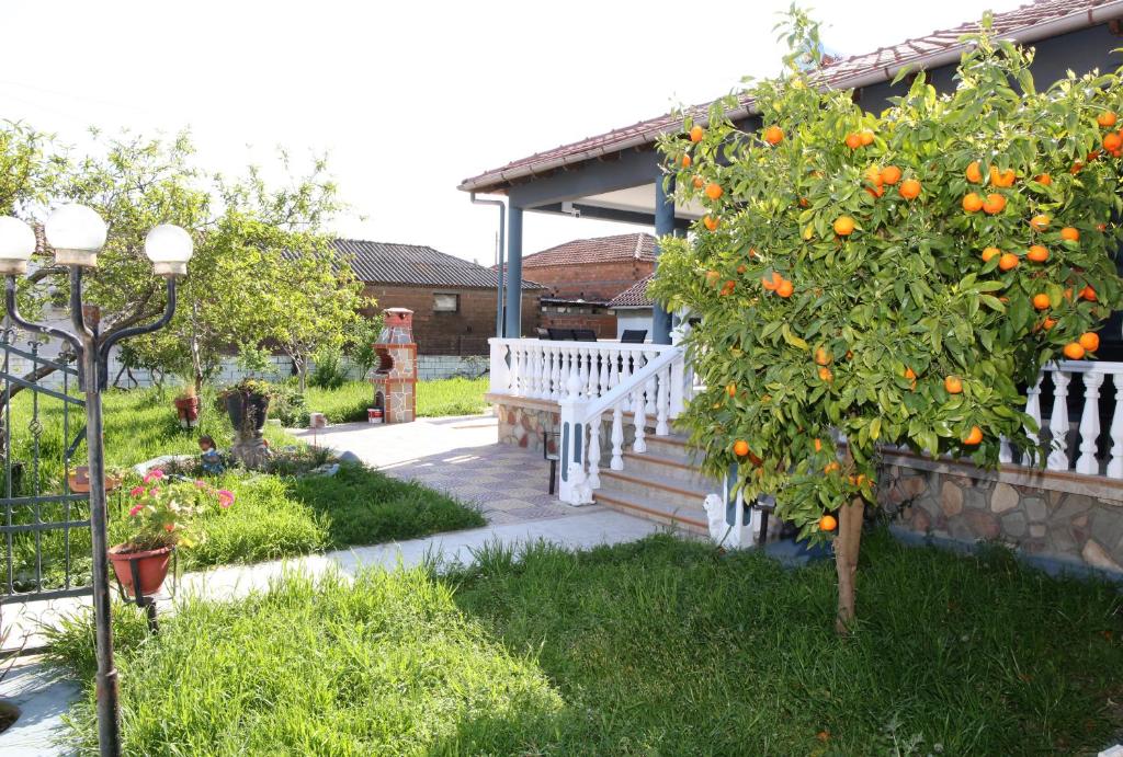 a garden with an orange tree and a white bench at Jannas Home in Néa Karyá
