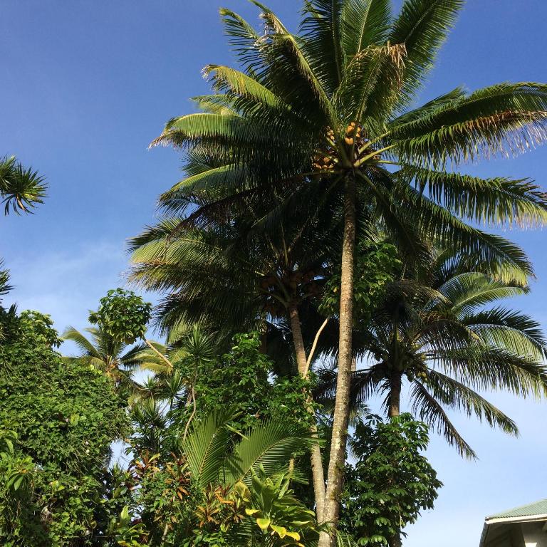 Giardino di Hilo Bay Oceanfront Bed and Breakfast