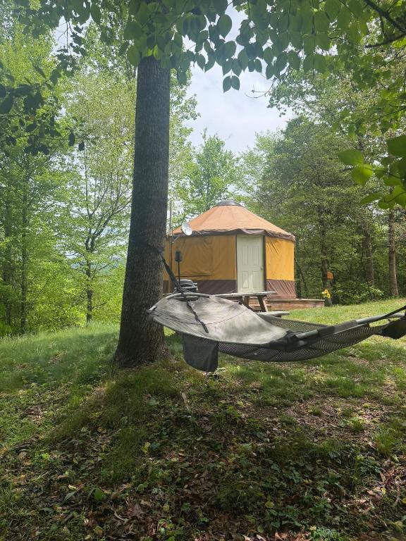 a kayak parked next to a tree in front of a tent at Summerset Ridge in Cullowhee