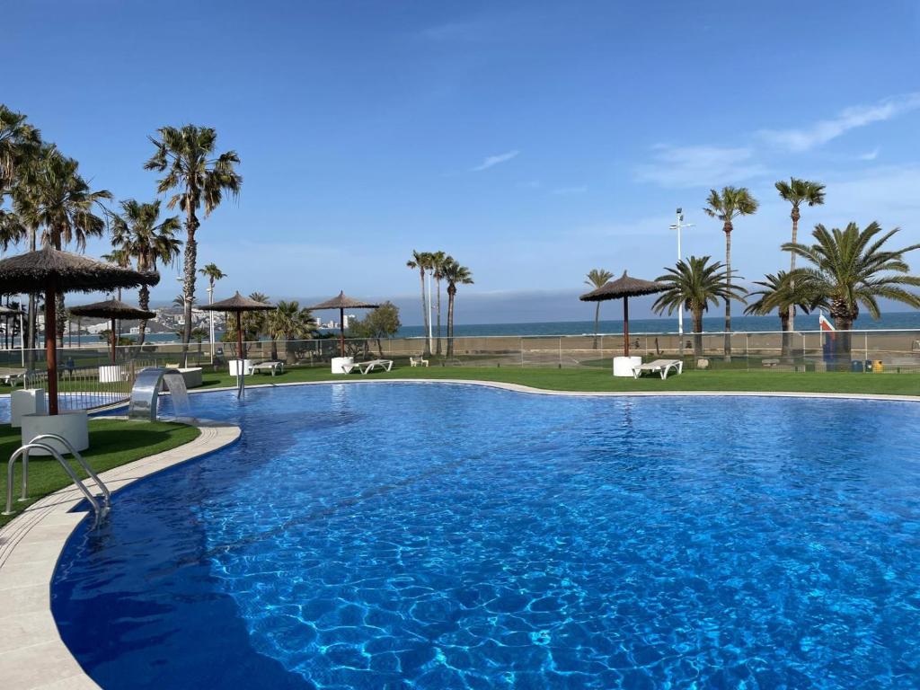 a large swimming pool with palm trees and the ocean at Espacio I in Cullera