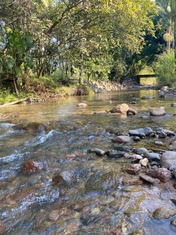 a river with rocks and trees in the background at Sítio Meu Cantinho in Benedito Novo